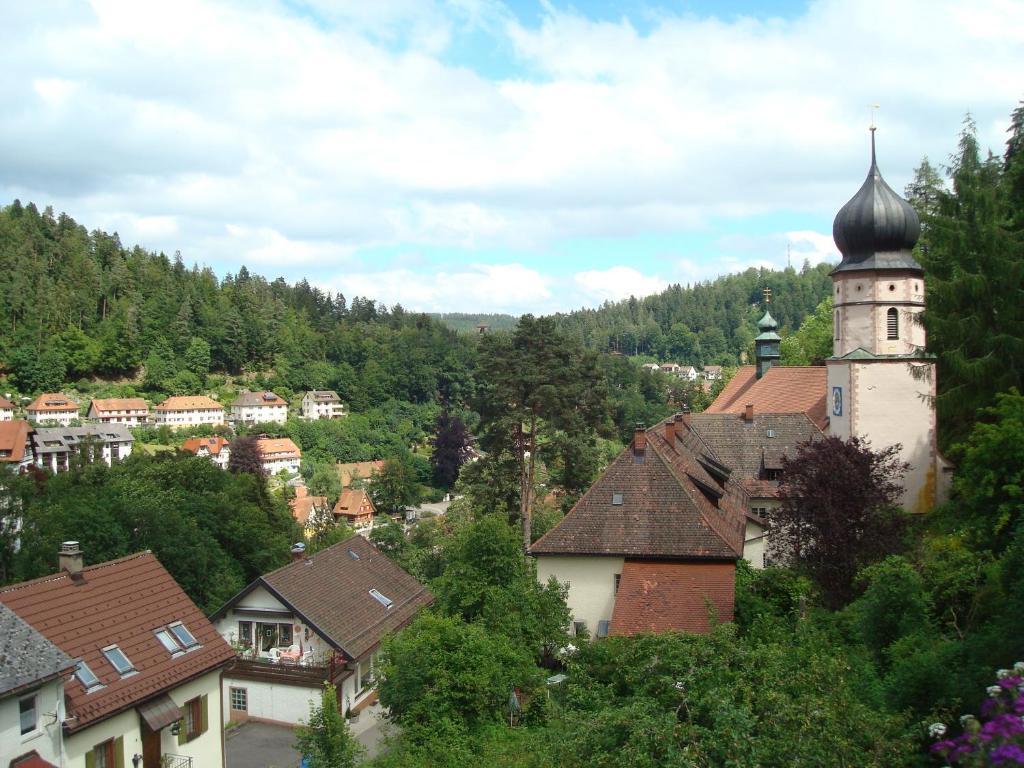 Self-Check-In Ferienwohnungen & Apartments Am Bergsee Triberg im Schwarzwald Cameră foto
